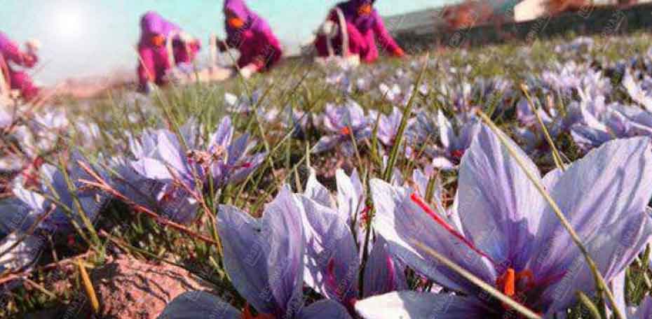 بلیط قطار کرمان زرند , قیمت بلیط قطار کرمان زرند , قیمت بلیط قطار کرمان زرند بلیط قطار کرمان زرند - رسپینا24